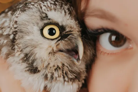 Kasino MR Fortune Tuki